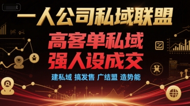 一人公司私域联盟，高客单私域，强人设成交，建私域 搞发售 广结盟 造势能-易网赚