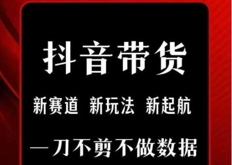 抖音短视频一刀不剪带货，不剪辑，不直播，每天发个视频，等着出单获取带货佣金-易网赚