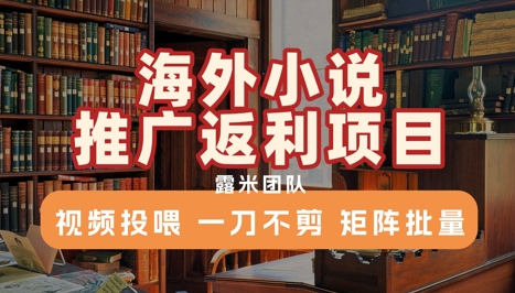 海外小说推广返利项目，视频投喂， 一刀不剪，矩阵批量-易网赚
