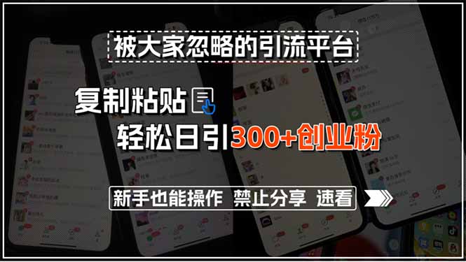 被大家忽略的引流平台，复制粘贴轻松日引300+创业粉，新手也能操作，禁…-易网赚