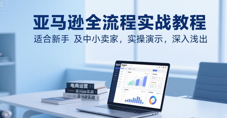 亚马逊全流程实战教程，适合新手及中小卖家，实操演示，深入浅出-易网赚