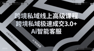 跨境私域线上高级课程，跨境私域极速成交3.0+Ai智能客服-易网赚