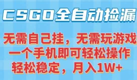 CSGO自动捡漏项目，最新独家玩法，一个手机可操作，新手小白轻松月入1W+，操作简单易上手【揭秘】-易网赚