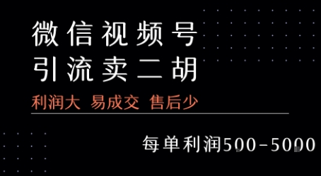 视频号卖二胡教程，利润大 易成交 售后少，一单利润5张+-易网赚