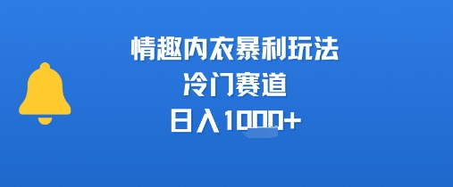 情趣内衣暴利玩法，冷门赛道，日入1k+-易网赚