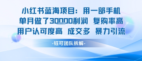 小红书蓝海项目，一部手机单月做了3W利润，小白也能月入过1W用户认可度高成交多-易网赚