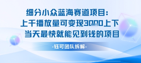 小众蓝海赛道项目：当天变现1k+适合新手操作 +适合长期玩-易网赚