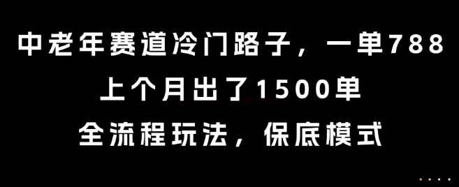中老年赛道冷门路子，一单788，上个月出了1500单，全流程玩法，保底模式【揭秘】-易网赚