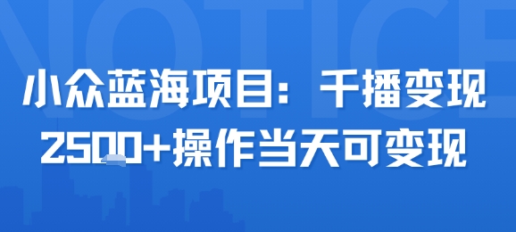 小众蓝海项目，千播变现2.5k+操作当天可变现-易网赚