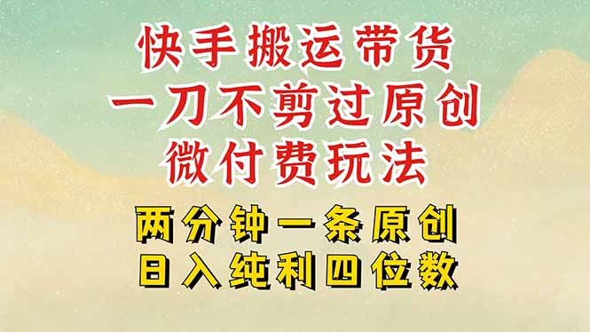 快手黑科技搬运带货，一刀不剪过原创，微付费投流玩法，轻松日入四位数…-易网赚