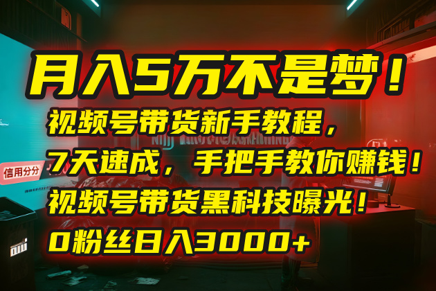 月入5万不是梦！视频号带货新手教程，7天速成，手把手教你赚钱！视频号…-易网赚
