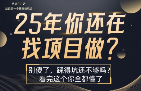 25年，你还在疯狂的找项目吗？别傻了，看完这个你都懂了【揭秘】-易网赚