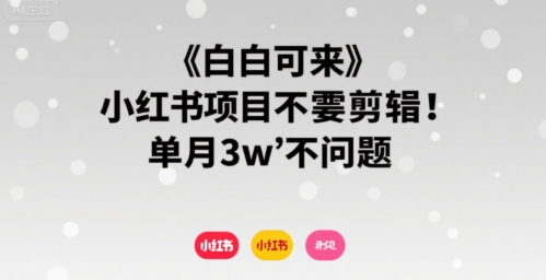 小白可来 小红书项目不需要剪辑 单月3w不是问题-易网赚