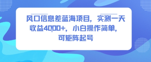 风口信息差蓝海项目，实测一天收益4k+，小白操作简单，可矩阵起号-易网赚