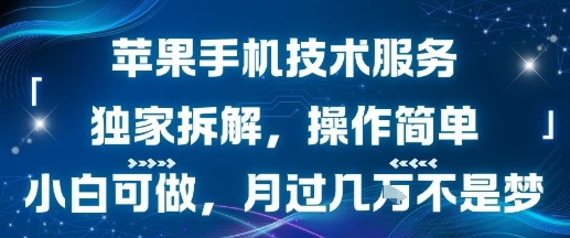 苹果手机技术服务，独家拆解，操作简单，小白可做，月过1W不是梦-易网赚