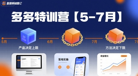 多多特训营【5-7月】产品决定上限，方法决定下限，各种玩法技巧落地实操-易网赚