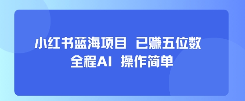 小红书蓝海项目，全程AI，操作简单，已挣五位数-易网赚