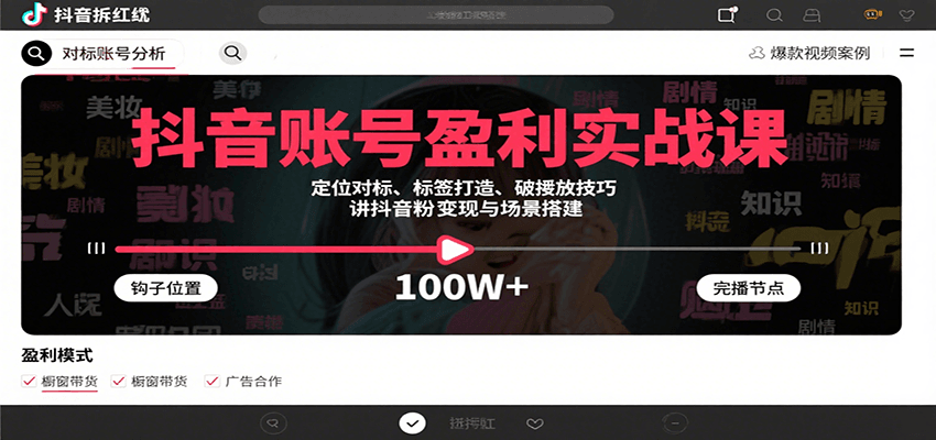 抖音账号盈利实战课，定位对标、标签打造、破播放技巧，讲涨粉变现与场景搭建-易网赚