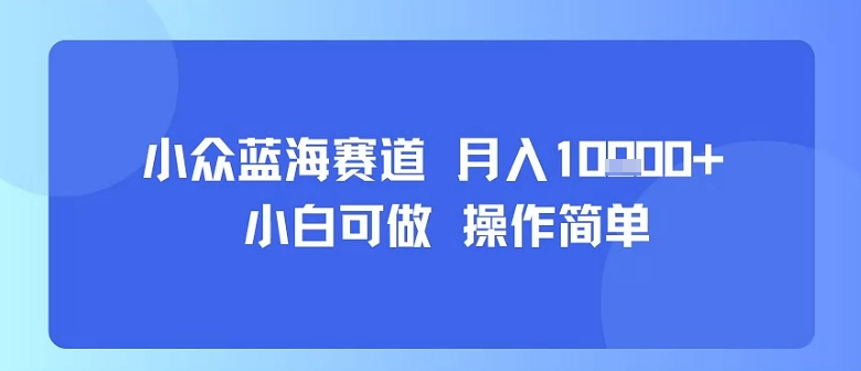 小众蓝海赛道，小白可做，操作简单，每天30分钟，月入1W+-易网赚