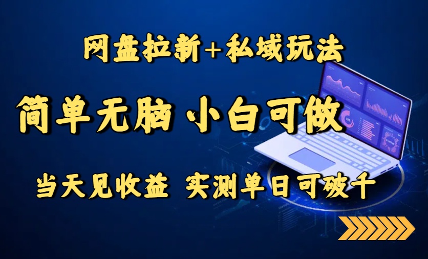 网盘拉新+私域玩法，简单无脑，小白可做，当天见收益，实测单日可破千-易网赚