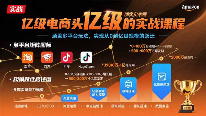 亿级电商头部卖家的实战课程：涵盖多平台玩法，实现从0到亿级规模的跃迁-易网赚