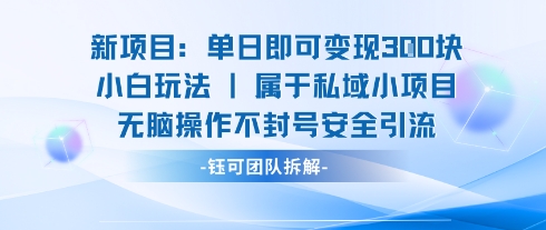 新项目单日即可变现3张的小白玩法无脑操作不封号安全引流-易网赚