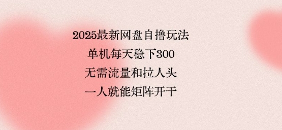 2025最新网盘自撸玩法，单机每天稳下3张，无需流量和拉人头，一个人就可轻松矩阵，全网独一份【揭秘】-易网赚