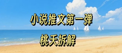 小说推文项目操作全流程第一弹，0粉就能做，门槛低非常适合新手-易网赚