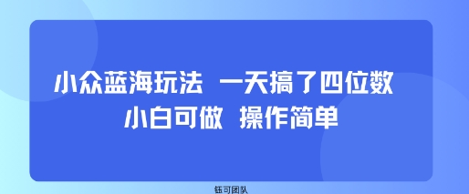 小众蓝海玩法 一天搞了四位数 小白可做 操作简单-易网赚