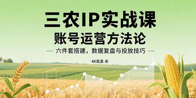 三农IP实战课：账号运营方法论，六件套搭建，数据复盘与投放技巧-易网赚