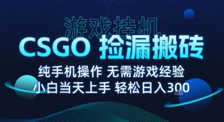 8月最新游戏搬砖，CSGO纯挂G，不需要玩游戏，实现真挂G，月入1W+【揭秘】-易网赚
