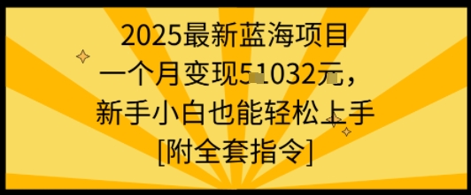 2025最新蓝海项目一个月变现1w+新手小白也能轻松上手【附全套指令】-易网赚