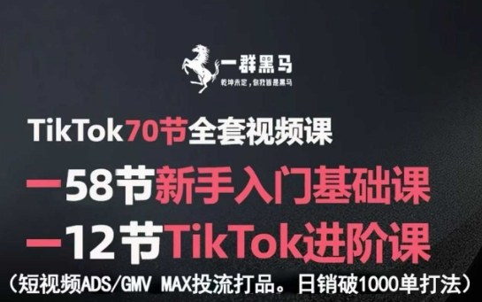 TikTok全套视频课，新手入门+进阶课，短视频ADS-GMV MAX投流打品，日销破1000单打法-易网赚