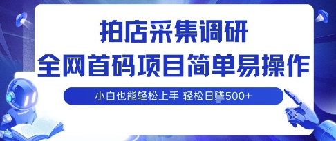 拍店采集调研，全网首码项目，简单易操作， 小白也能轻松上手，多账号操作，轻松日入5张【揭秘】-易网赚