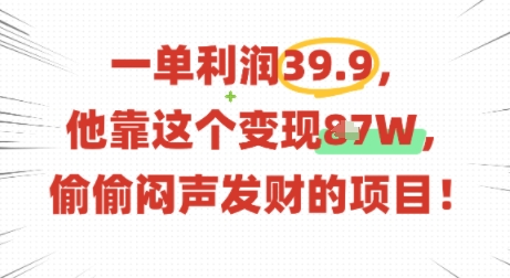 一单利润39.9，有人靠这个变现几十个，偷偷闷声发财的项目-易网赚