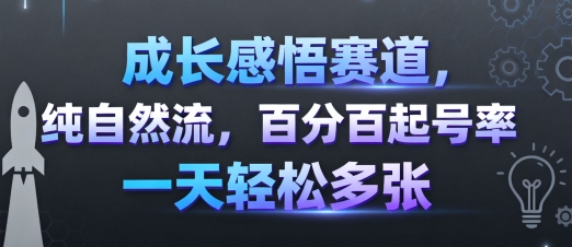 成长感悟赛道，纯自然流，百分百起号率 一天轻松多张-易网赚