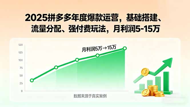 2025拼多多年度爆款运营，基础搭建、流量分配、强付费玩法，月利润5-15万-易网赚