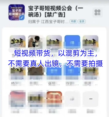 宝子哥头部团队短视频带货，以混剪为主，不需要真人出镜，不需要拍摄【更新9月】-易网赚