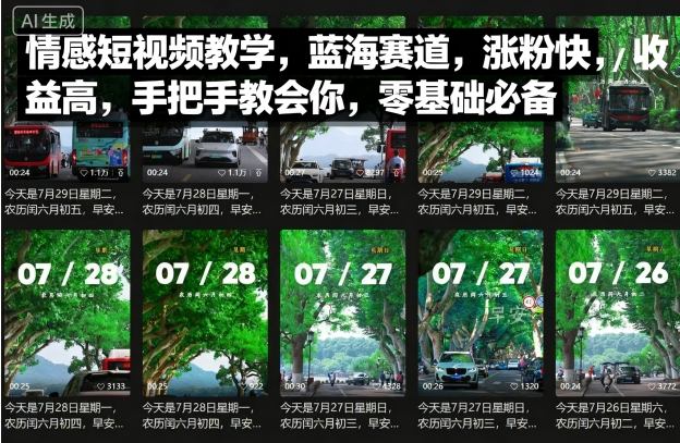 情感短视频教学，蓝海赛道，涨粉快，收益高，手把手教会你，零基础必备-易网赚