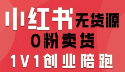 小红书无货源0粉电商课，开店准备、选品策略、笔记撰写、视频剪辑、数据分析、账号打造、资料文档-易网赚