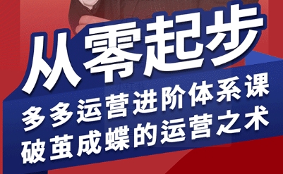 拼多多运营进阶系统课，从零起步，多多运营进阶体系课，破茧成蝶的运营之术(更新9月)-易网赚