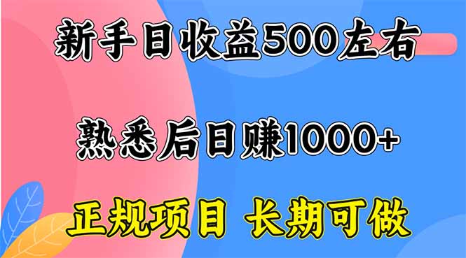 新手日收益500+ 正规项目 长期可做-易网赚
