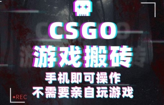 CSGO游戏挂G捡漏，单日扫货5张+，年底小高峰上车可吃肉，手机即可操作，兼职副业创业网创【揭秘】-易网赚