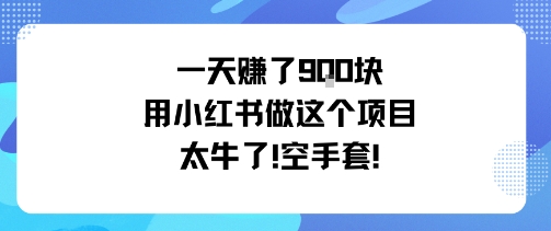 一天挣了9张用小红书做这个项目太牛了，空手套-易网赚