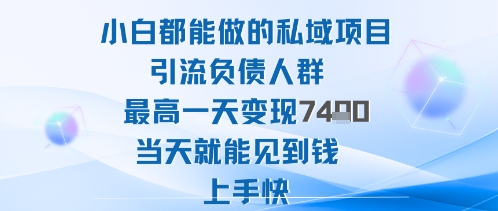 2025年小白都能做的私域项目引流负债人群最高一天变现1k+高变现难度低当天就能见到钱上手快-易网赚