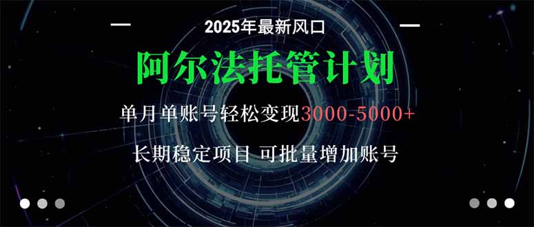 阿尔法托管计划 单账号月入3000-5000,长期稳定项目,新手小白轻松上手。-易网赚