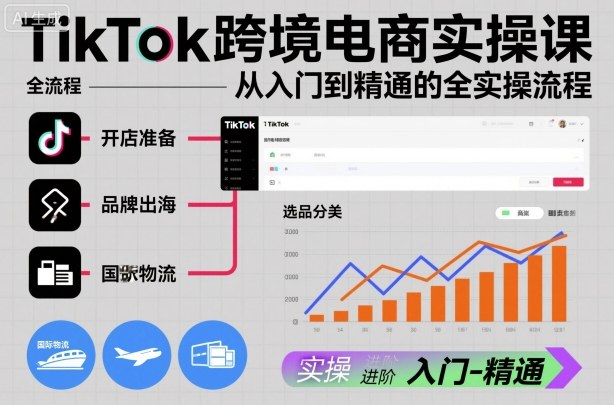 TikTok跨境电商实操课，从入门到精通的全实操流程-易网赚