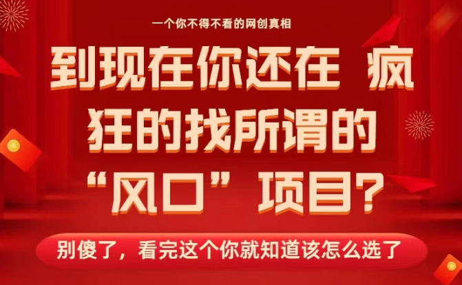 马上26年了,你还在找所谓的风口项目?别傻了,看完这个你全都懂了!【揭秘】-易网赚