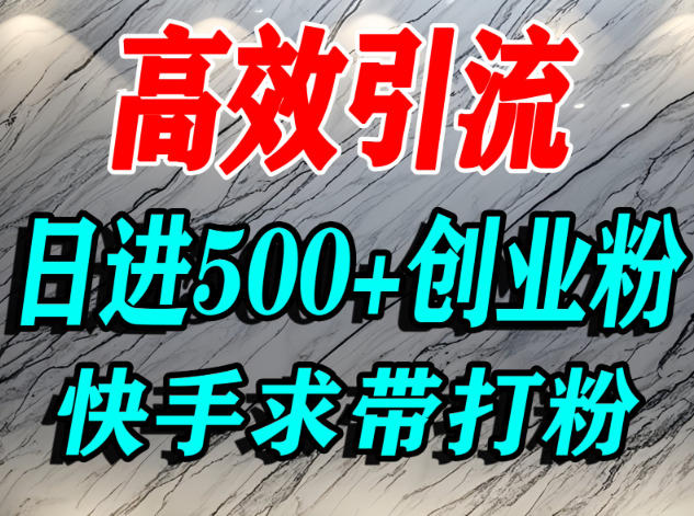 怎么打创业粉？快手求带视角精准引流创业粉，宝妈、学生群体日进500+精准流量-易网赚