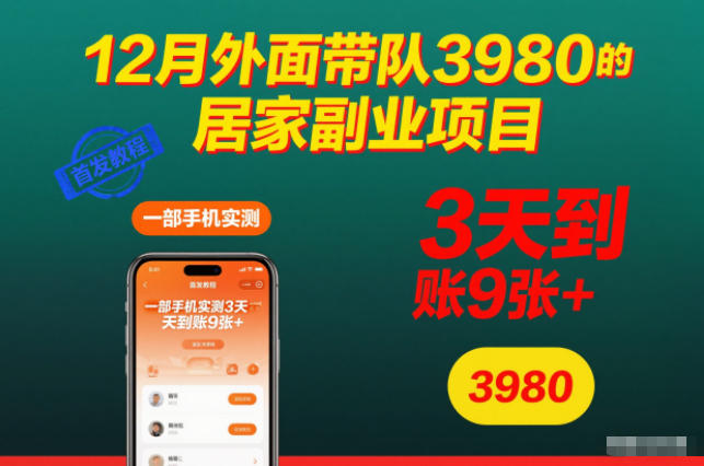 12月外面带队3980的居家副业项目，一部手机实测3天到账9张+，首发教程【揭秘】-易网赚